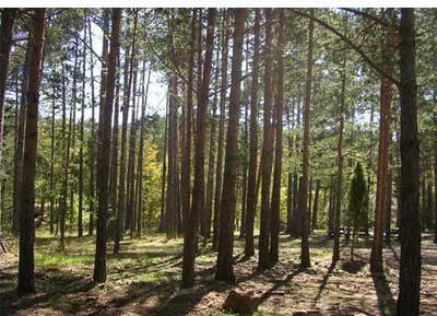 <?php echo $tipo;?> en <?php echo $balneario;?>