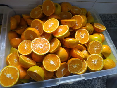 <?php echo $tipo;?> en <?php echo $balneario;?>