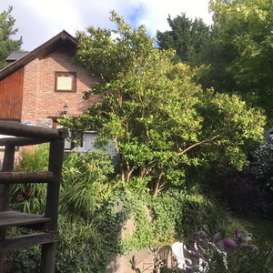 <?php echo $tipo;?> en <?php echo $balneario;?>