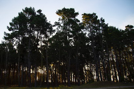 <?php echo $tipo;?> en <?php echo $balneario;?>