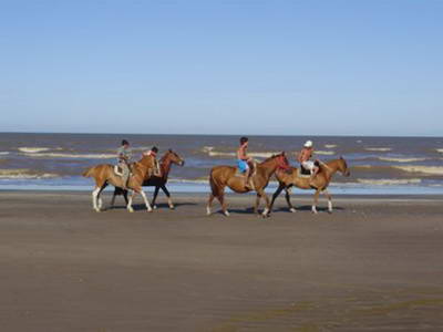 <?php echo $tipo;?> en <?php echo $balneario;?>