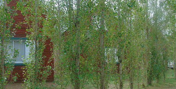 <?php echo $tipo;?> en <?php echo $balneario;?>