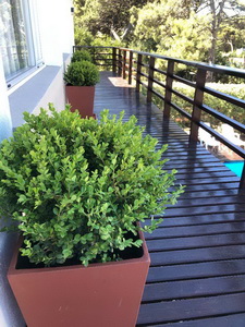 <?php echo $tipo;?> en <?php echo $balneario;?>